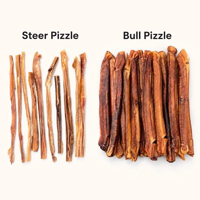 Side by side comparison of thin steer pizzle sticks and thicker, denser bull pizzle bully sticks